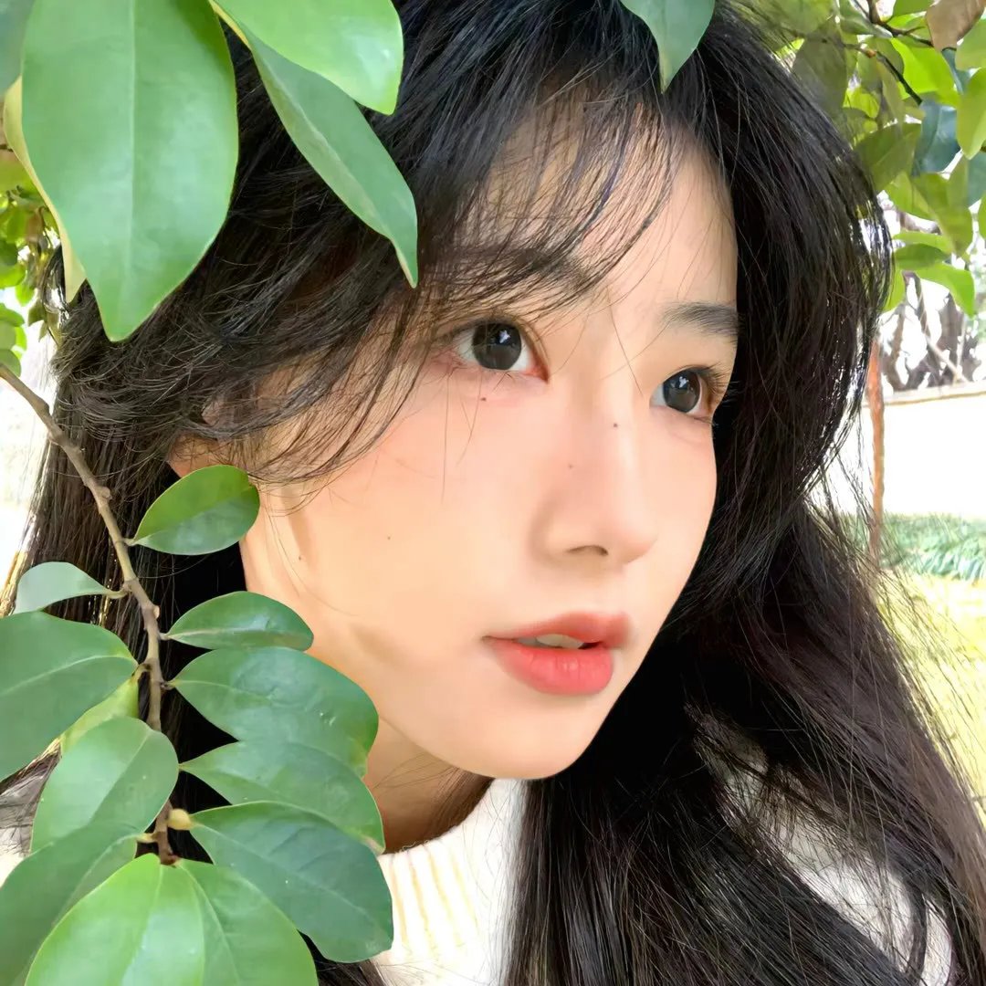 我们的所爱